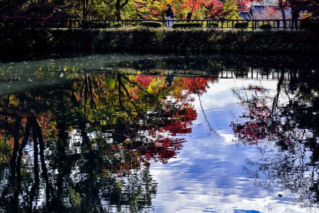 東山動植物園紅葉