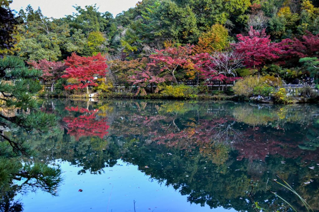 東山動植物園紅葉