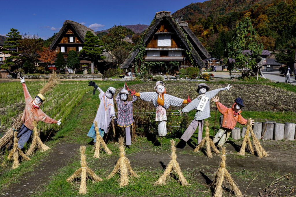 白川郷合掌造りと案山子