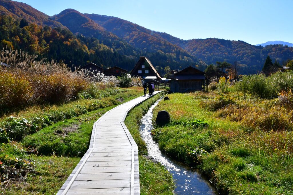 白川郷 あぜ道