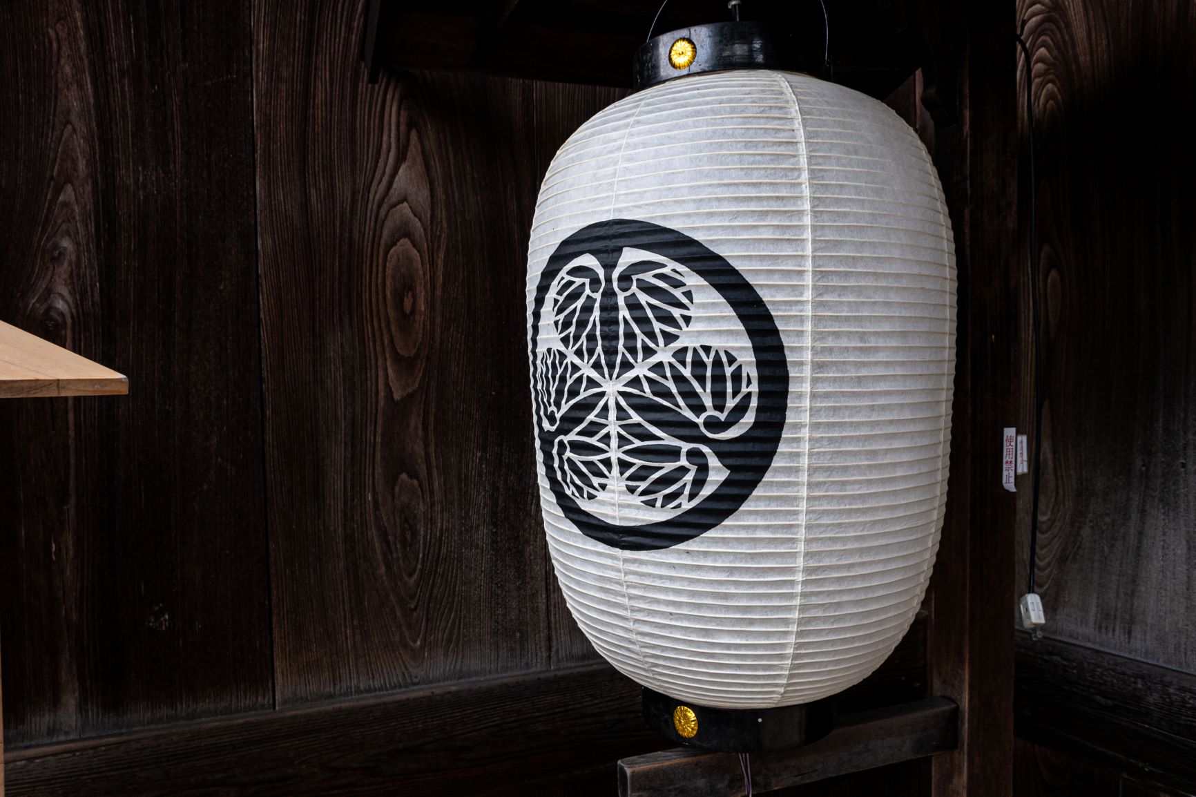 高山陣屋葵の紋の提灯